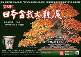 ◆終了◆　第38回 日本盆栽大観展
